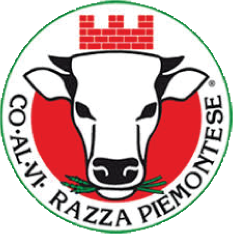 Blocco_COALVI