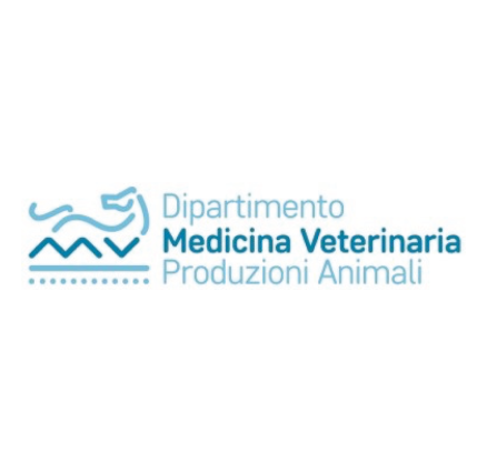 Blocco_vitellone_bianco
